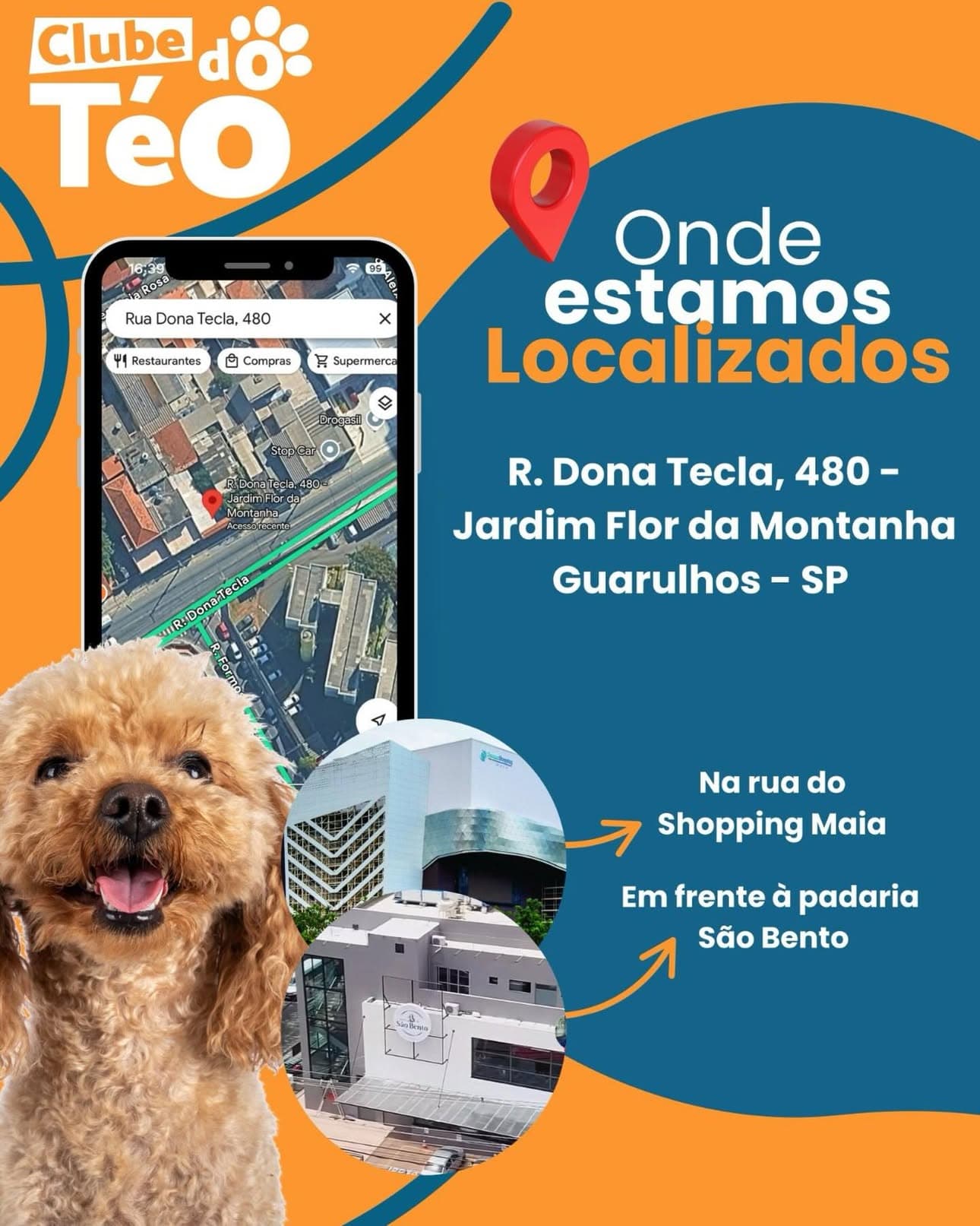 📍 Agora você nos encontra em um novo endereço!
O Clube do Téo está oficialmente na Rua Dona Tecla, 480 – Jardim Flo