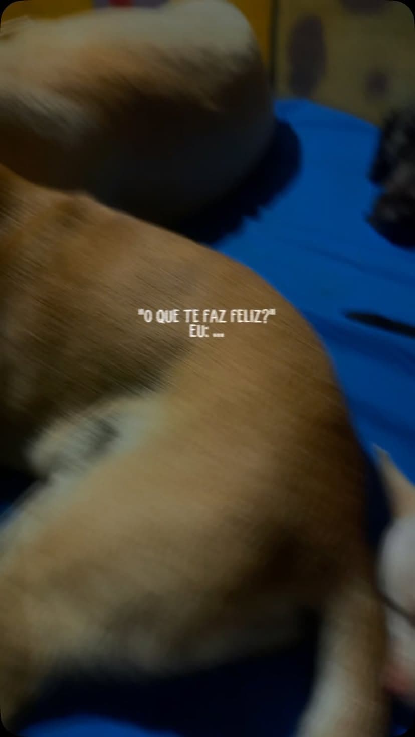 O que te faz feliz? 💛

Pra gente, é trabalhar com cachorros e receber essa energia todos os dias.

Entre brincadeiras,