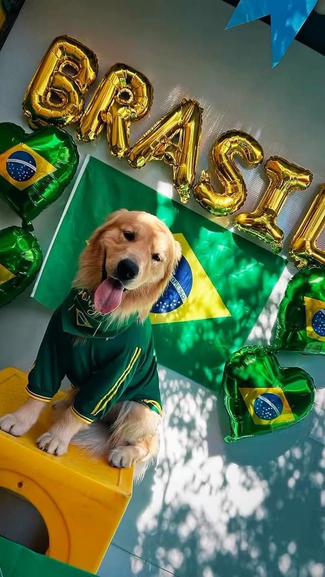 Hoje o nosso craque comemorou o primeiro aniversário por aqui. 🇧🇷💚💛

O Jorge aproveitou cada minuto da festa: corre