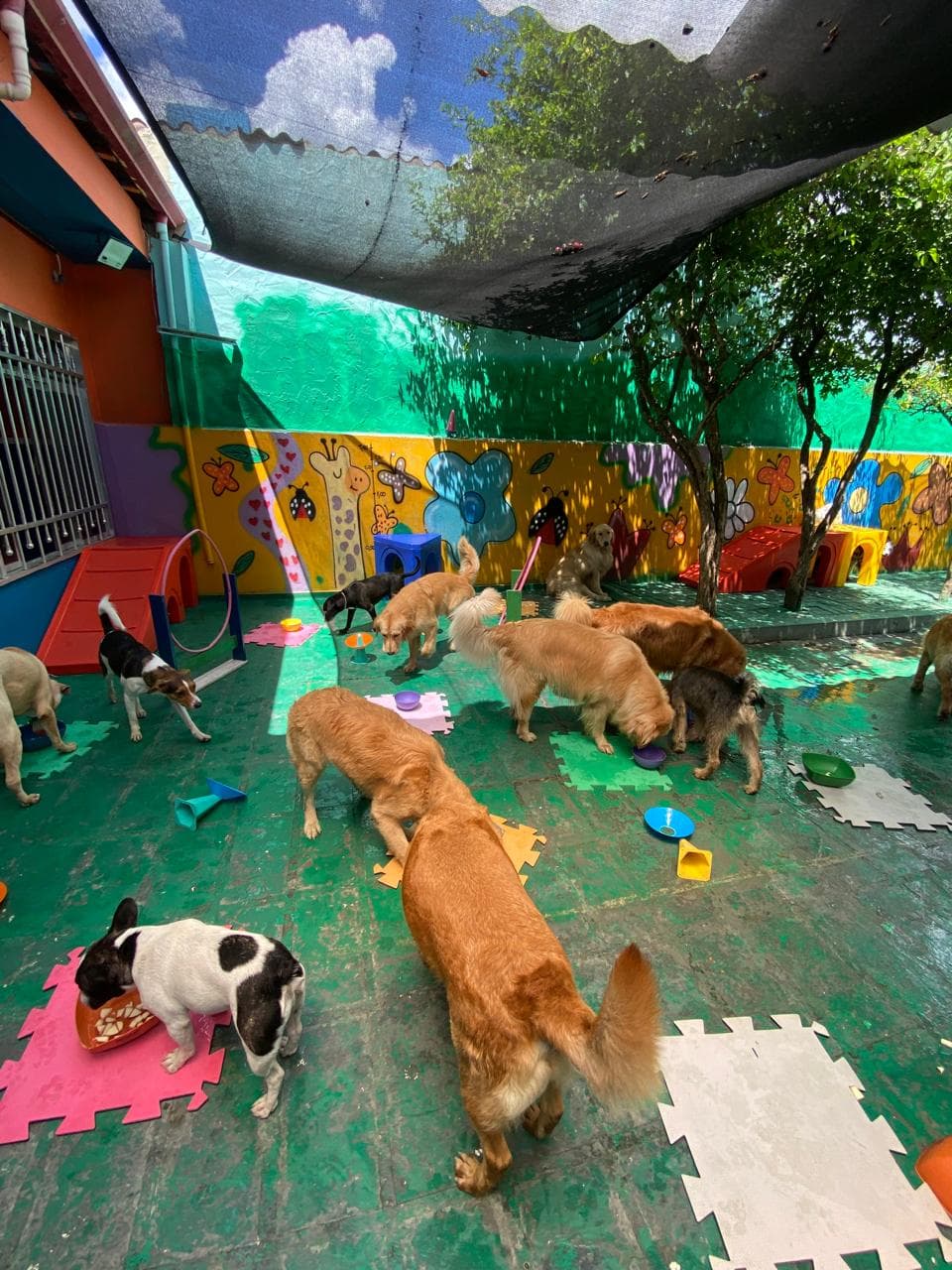 Foto do espaço do Clube do Téo